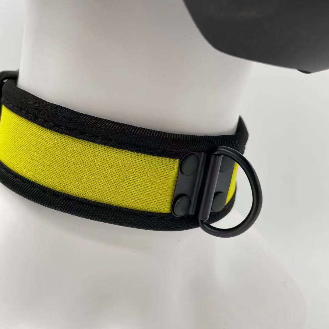 Doggie - Black and Yellow - Michelle Selection - #tag1# - #tag2#